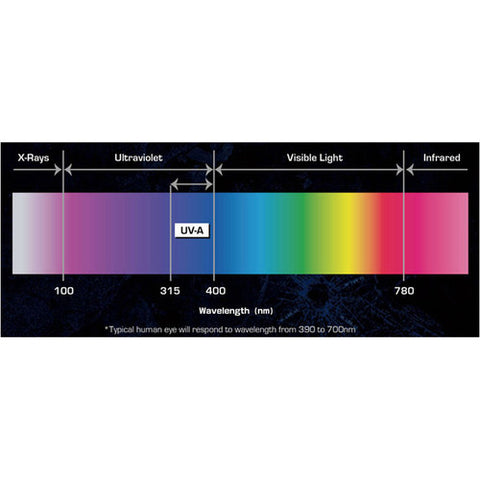 Antari DFX Strip 510IP; 6 x 365nm, IP-65 Rated Indoor/Outdoor UV Strip